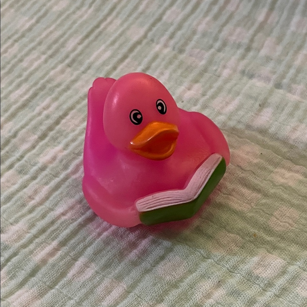 Pink Rubber Duck Reading Green Book